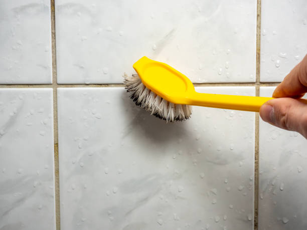 Best Emergency Mold Removal  in Woody, WA