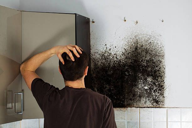 Woodway, WA Mold Removal Company