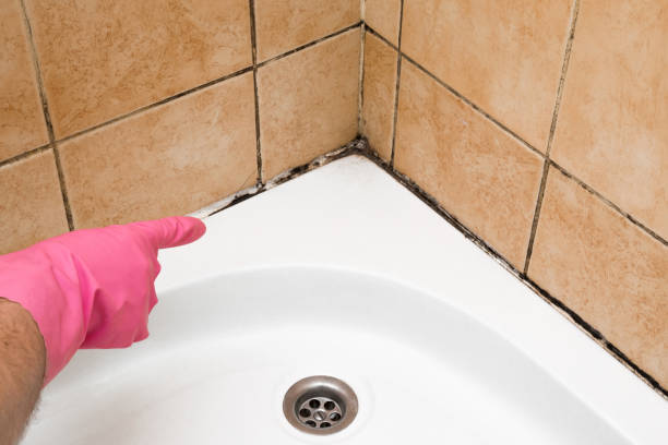 Water Damage Restoration in Woodway, WA
